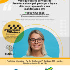 miniatura 13