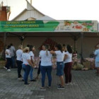 miniatura 12