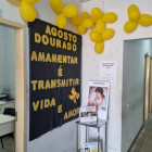 miniatura 10