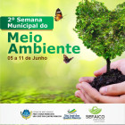 miniatura 11