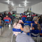 miniatura 12