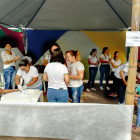 miniatura 15