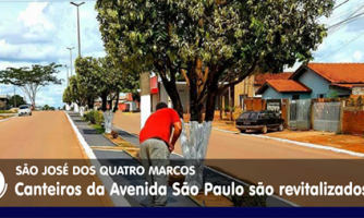 Canteiros das avenidas de Quatro Marcos estão sendo revitalizadas