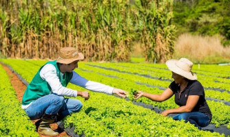 Prefeitura lança projeto de assistência técnica e gerencial em horticultura para agricultores familiares