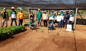 Prefeitura Municipal promove curso de Curso de Produção de Mudas em Viveiro Florestal