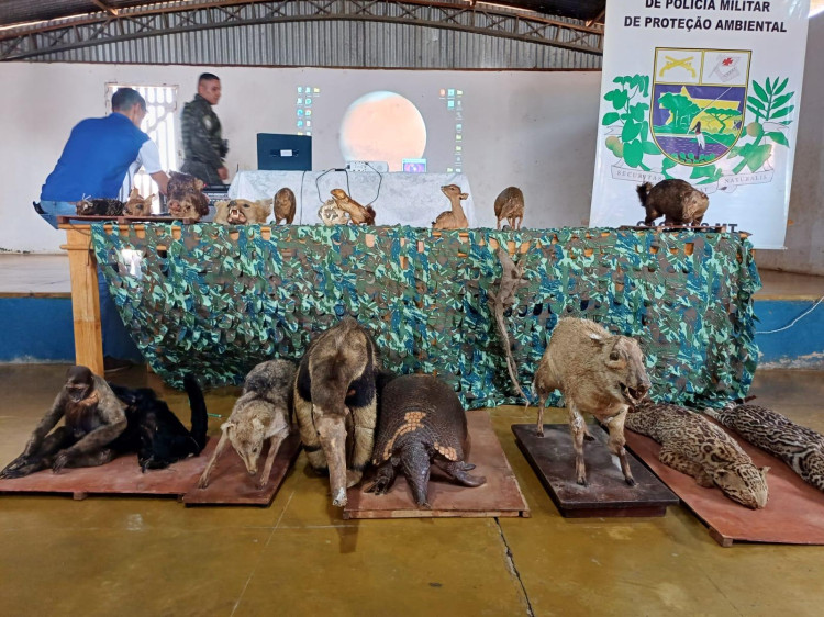 Palestra sobre Proteção Ambiental e Exposição de Animais Taxidermizados para Alunos de São José dos Quatro Marcos